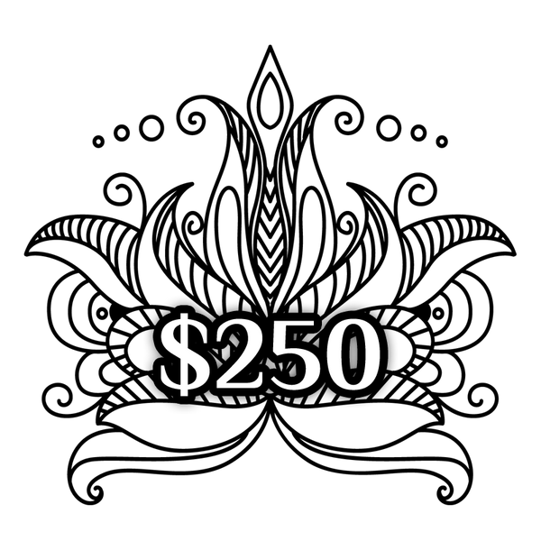 $250 Gift Certificate