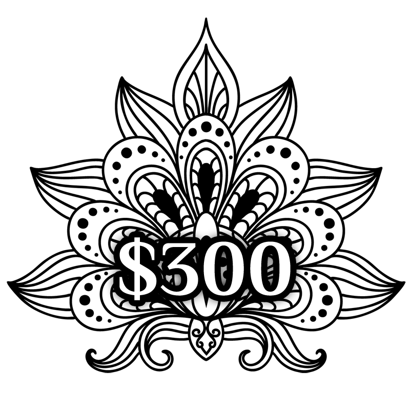 $300 Gift Certificate